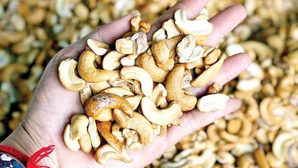 Cashew, pepper firms have shot to sell products on Alibaba.com