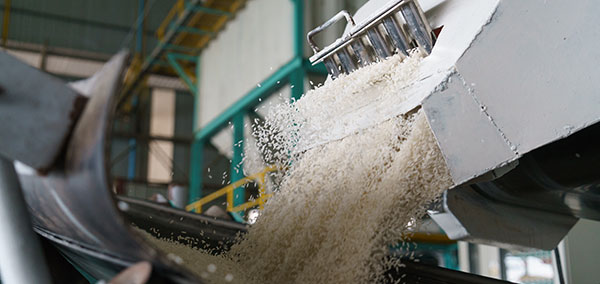 Rice Milling and Export