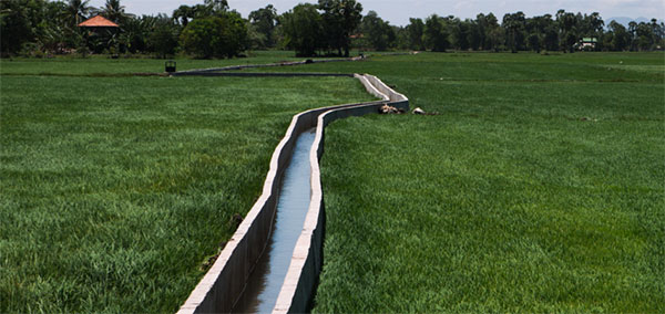 Irrigation and Water Management